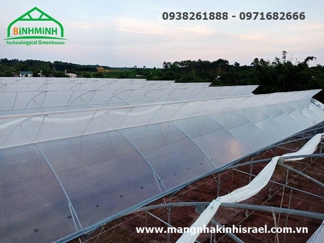 Màng che nhà kính mờ Politiv Israel – Giải pháp tối ưu cho nông nghiệp hiện đại