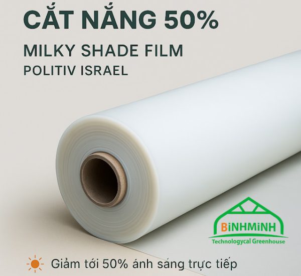 mang nha kinh politiv trang sua